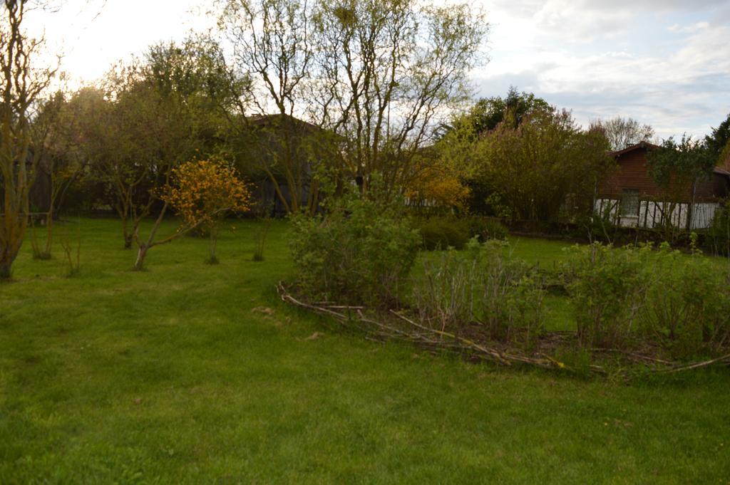 Drosnay Au Passage Des Grues Bed & Breakfast エクステリア 写真