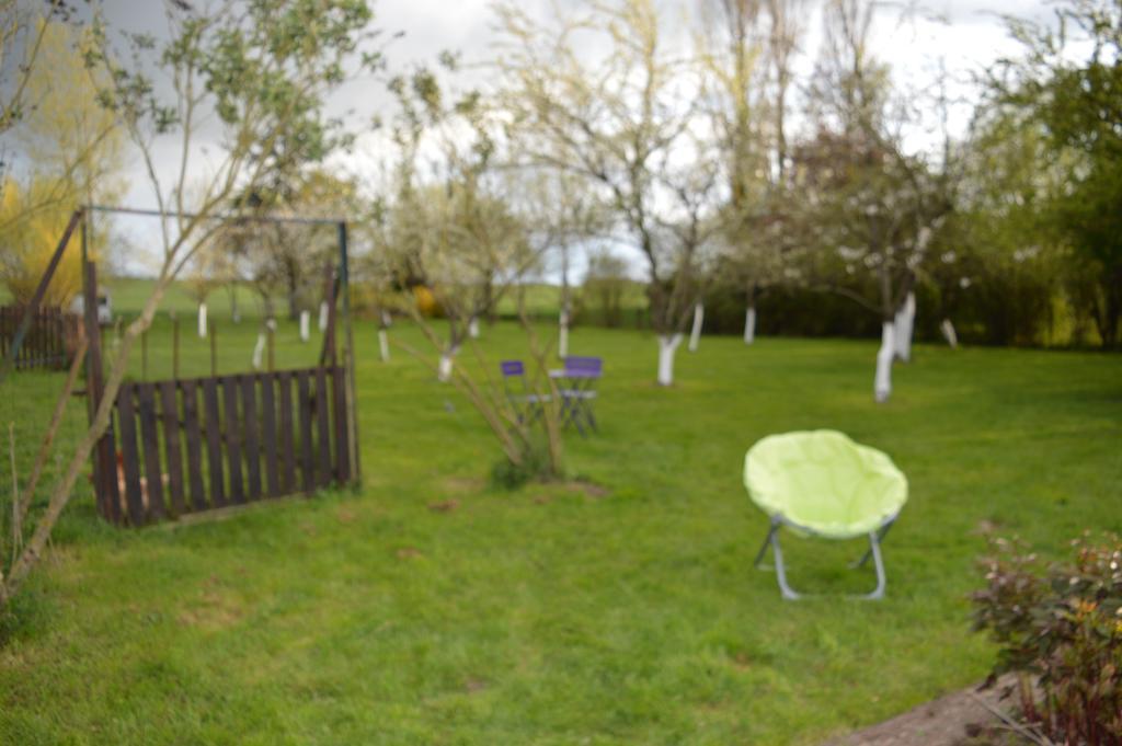 Drosnay Au Passage Des Grues Bed & Breakfast エクステリア 写真