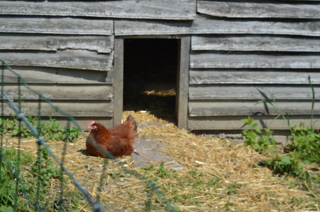 Drosnay Au Passage Des Grues Bed & Breakfast エクステリア 写真